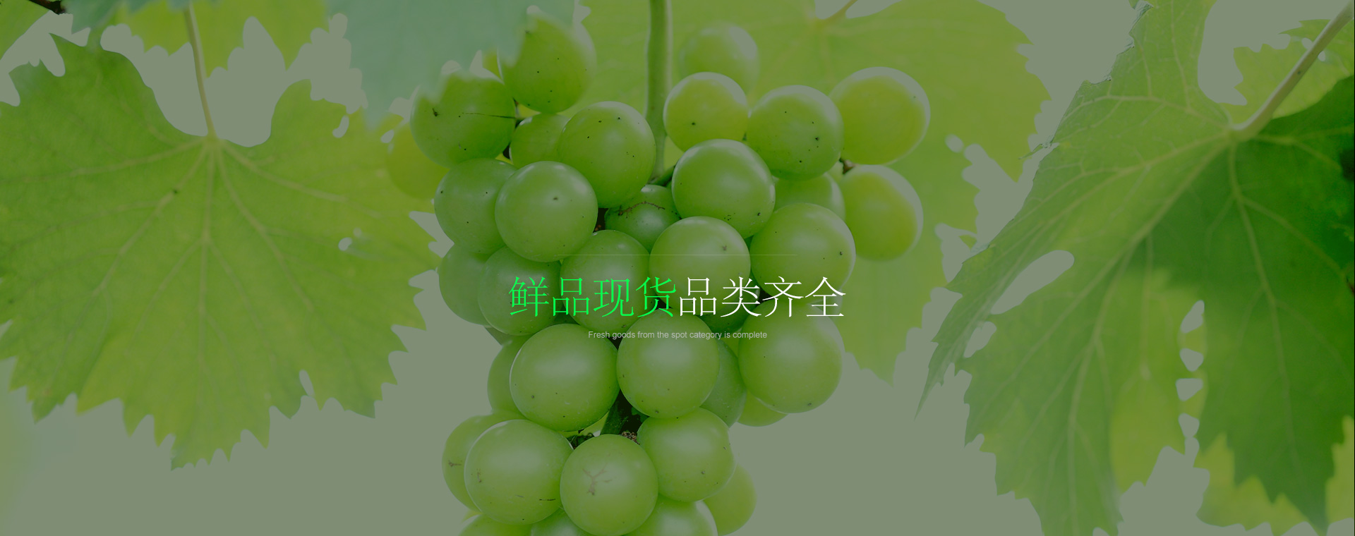 澳门网络赌场网站